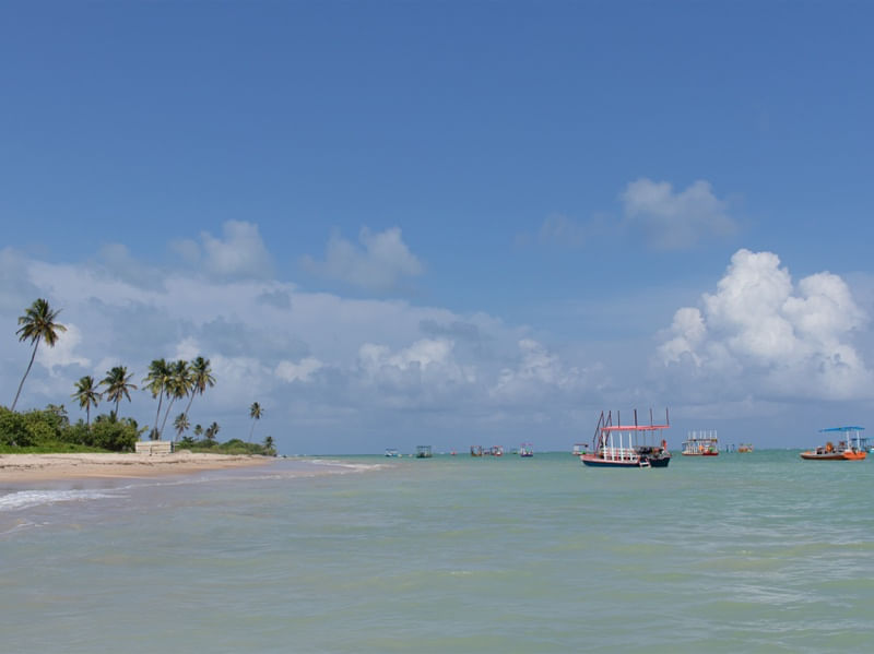 PRAIA DA CANOA
