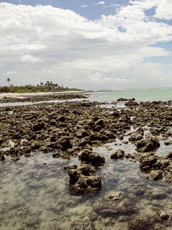 CARNAUBINHA REEF 5