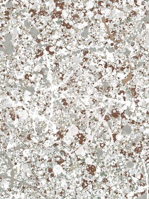 POLLOCK 6 DA HELO