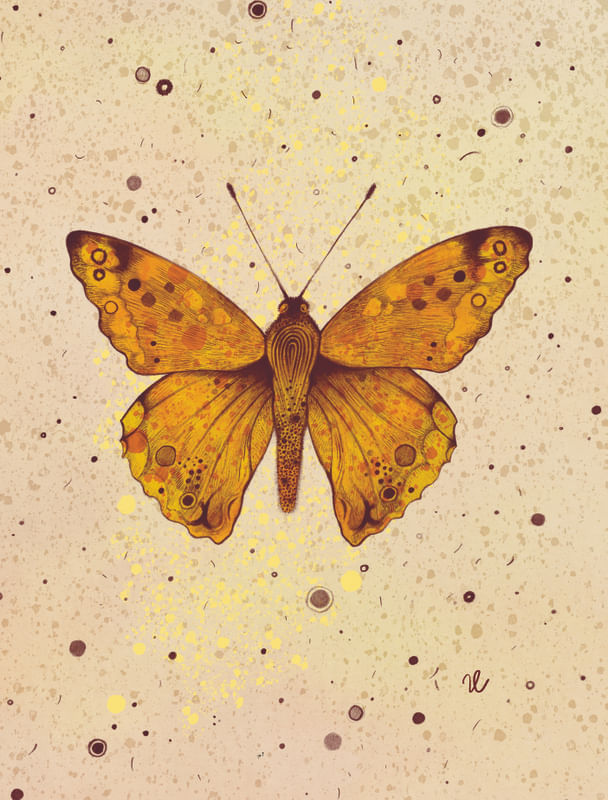 JUSTYNA CAPUTA - BUTTERFLY