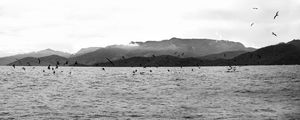 COMORÕES EM ILHA GRANDE