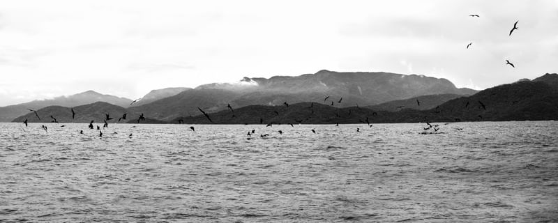 COMORÕES EM ILHA GRANDE