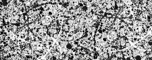 POLLOCK 15 DA HELO