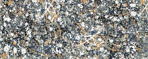 POLLOCK 16 DA HELO