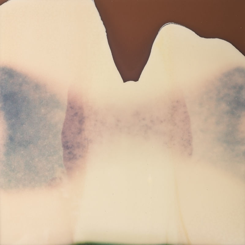 POLAROID 1