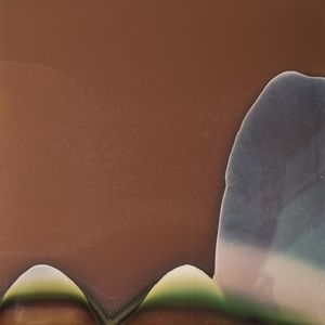 POLAROID3