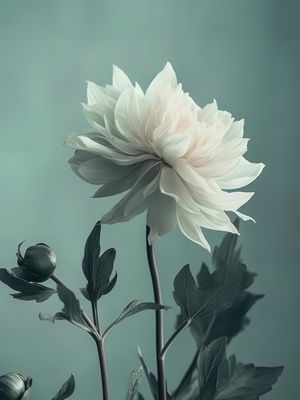 TONS VERDES EM UMA ROSA - BY AI