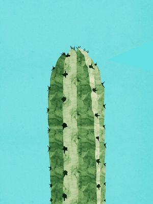 BOTÂNICO CACTOS AQUARELA 03