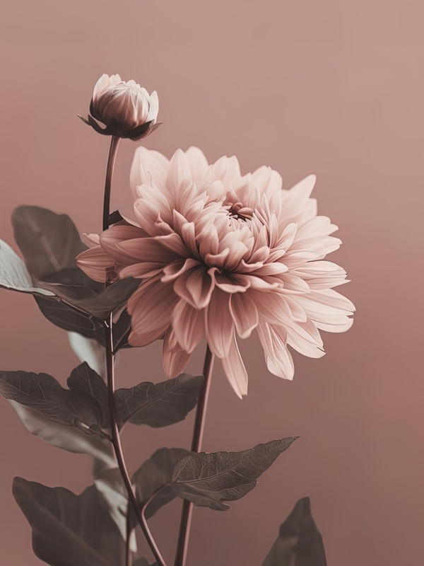 FLOR ROSA - BY AI