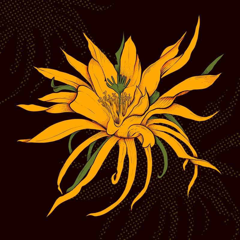 FLOR PONTUDA EXÓTICA