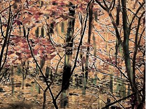 RESTA FLOR BY AI