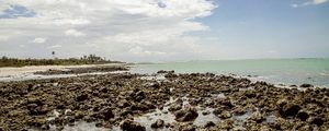 CARNAUBINHA REEF 2