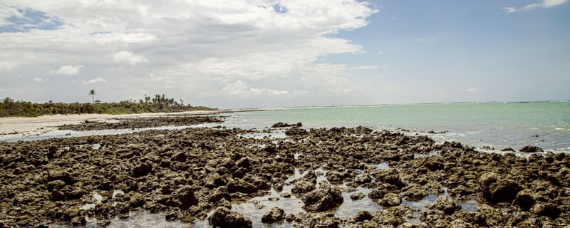 CARNAUBINHA REEF 2