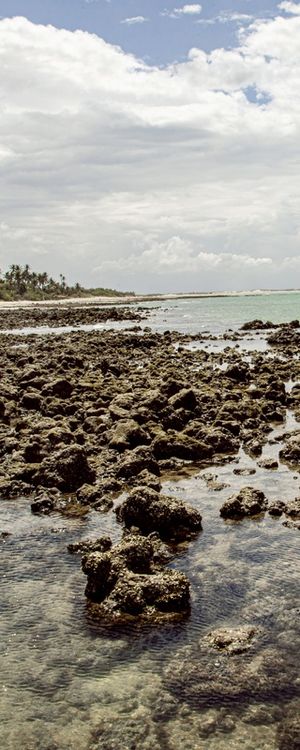 CARNAUBINHA REEF 3