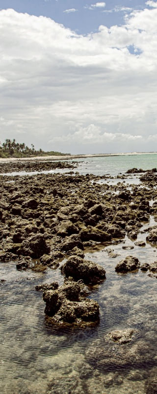 CARNAUBINHA REEF 3
