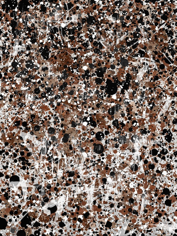 POLLOCK 1 DA HELO
