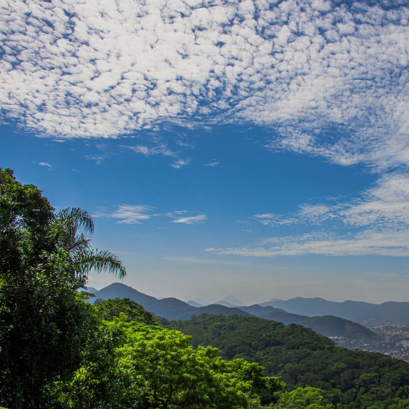 RIO MAGIA I