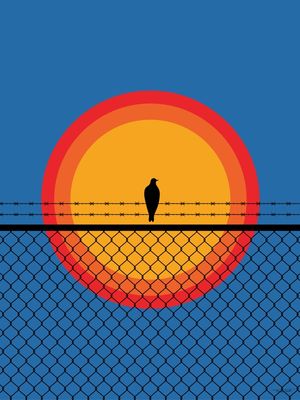 SOL E LIBERDADE