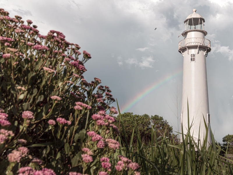 FAROL DAS CONCHAS - ILHA DO MEL - III