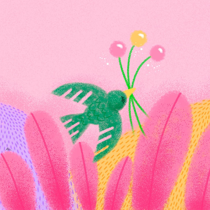 BIRD AND CANDIES
