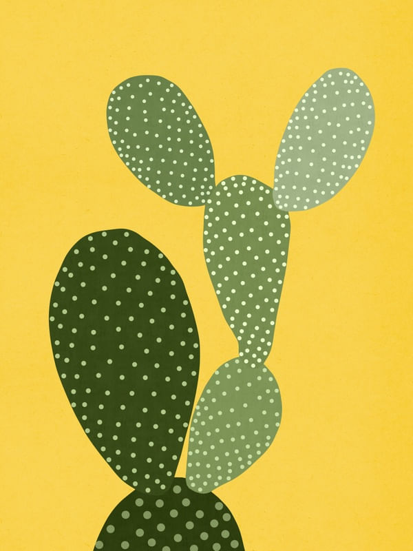 BOTÂNICO CACTOS AQUARELA 11