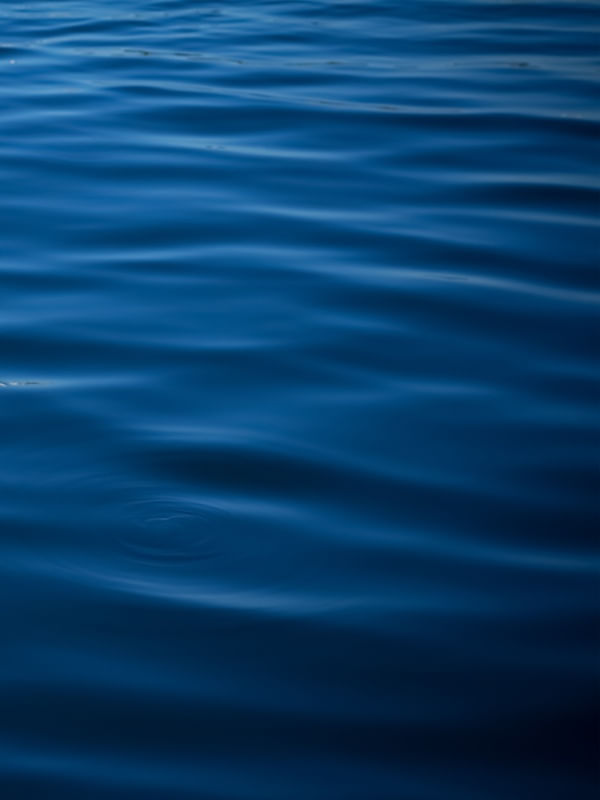PROFUNDO MAR - DIPTICO 2 DE 2