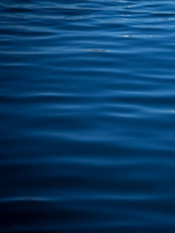 PROFUNDO MAR - DIPTICO 1 DE 2