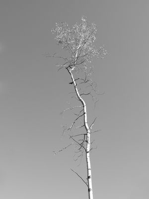 FORMAS DE ALCANÇAR O CÉU