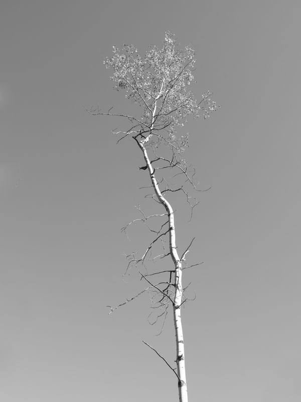 FORMAS DE ALCANÇAR O CÉU
