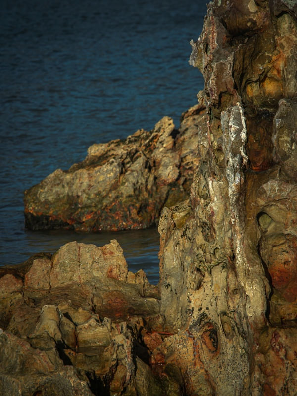 CAPRICHOS DA NATUREZA IV