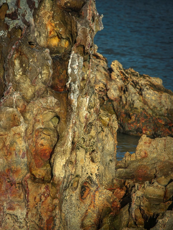 CAPRICHOS DA NATUREZA III
