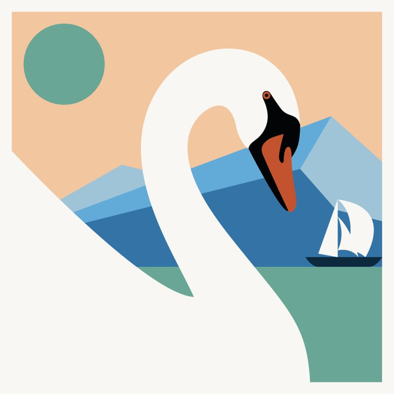 WHITE SWAN