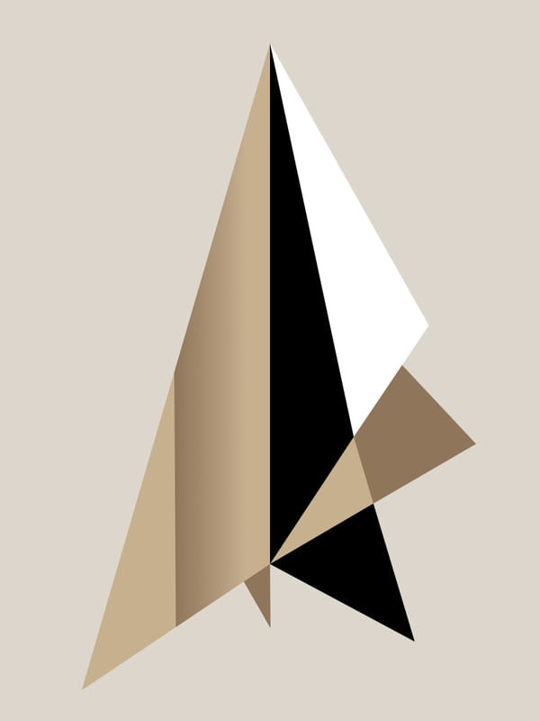 GEOMETRICA SETA