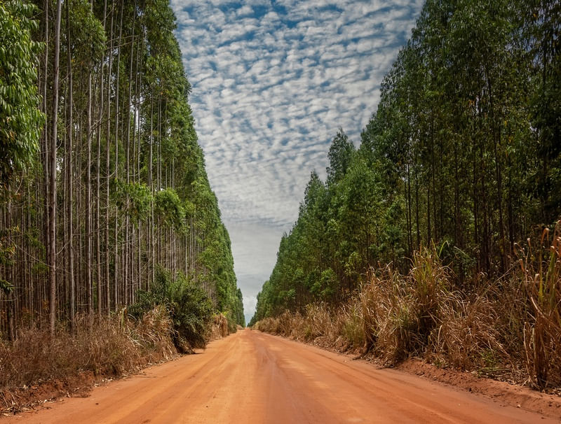 LONGA ESTRADA DE TERRA A SEGUIR