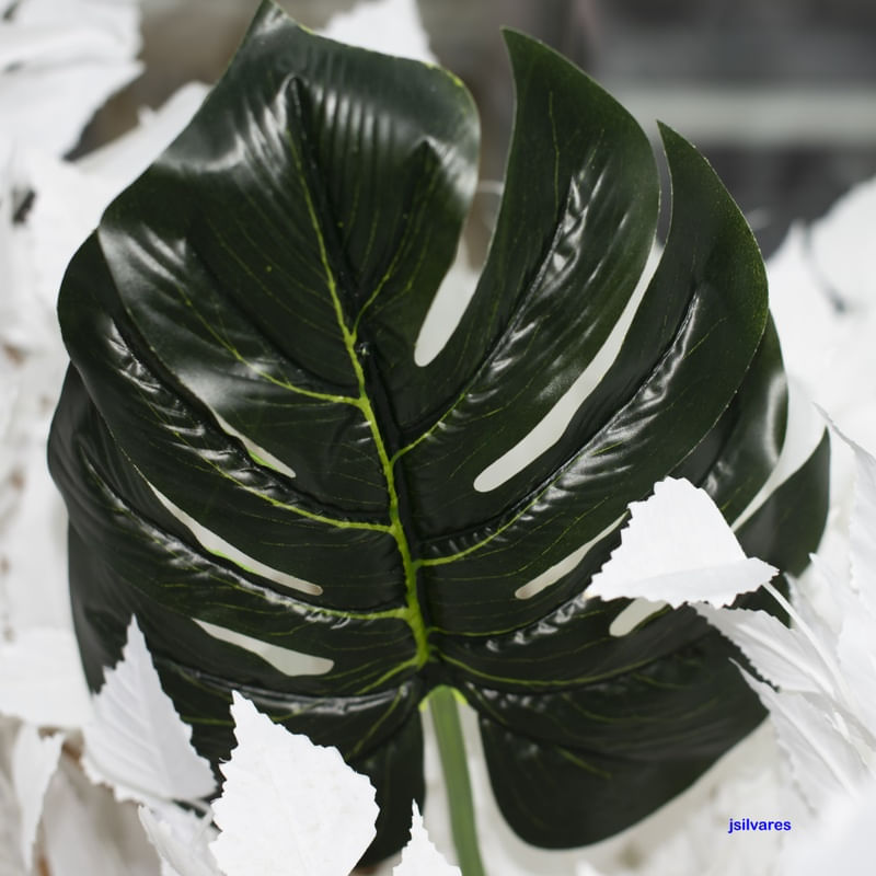 VERDE DESTAQUE
