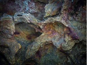 CAPRICHOS DA NATUREZA I