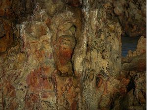 CAPRICHOS DA NATUREZA II