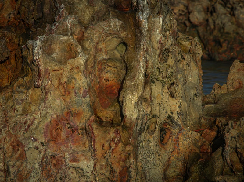CAPRICHOS DA NATUREZA II