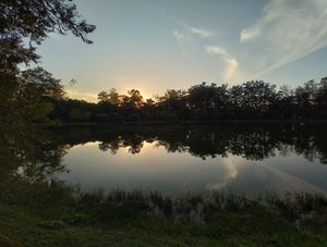 LAGO IBIRAPUERA 10