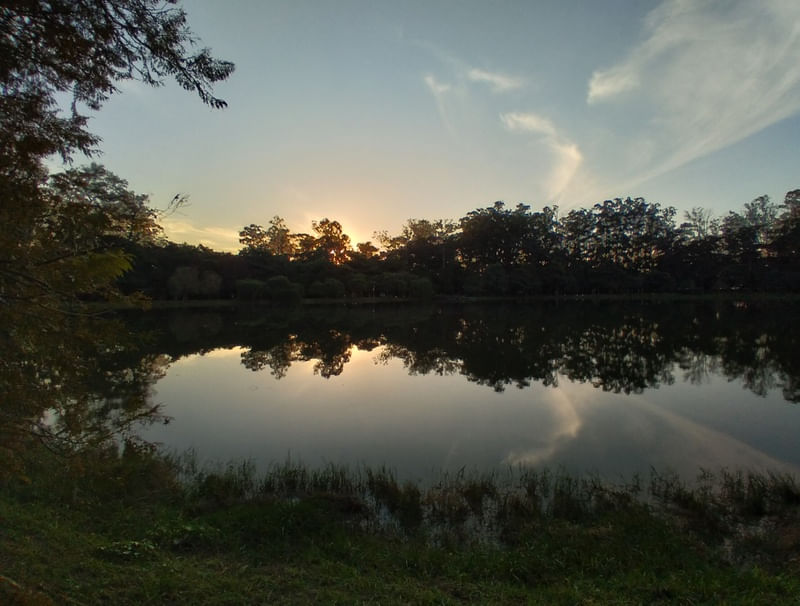 LAGO IBIRAPUERA 10