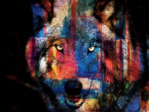 ANIMALS LOBO