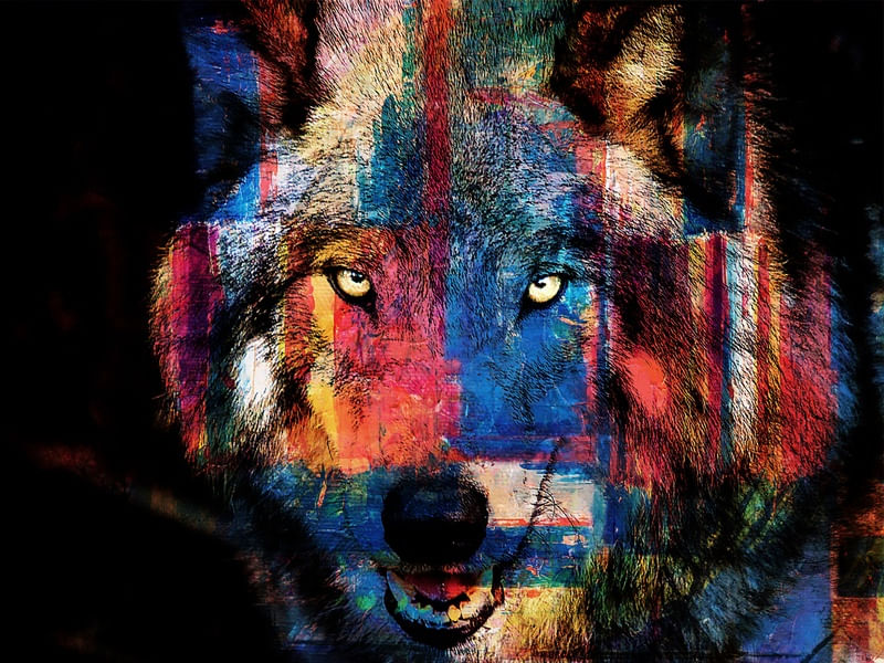 ANIMALS LOBO