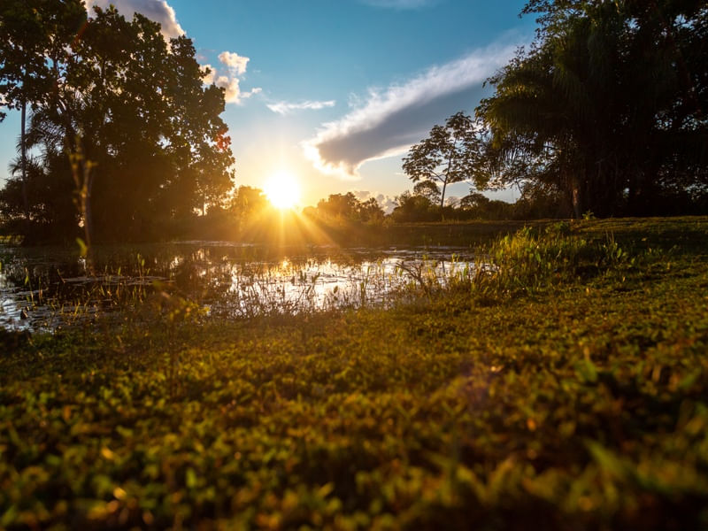 RIO PANTANAL