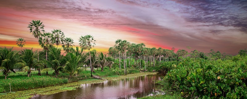 RIO TABULEIRO 2