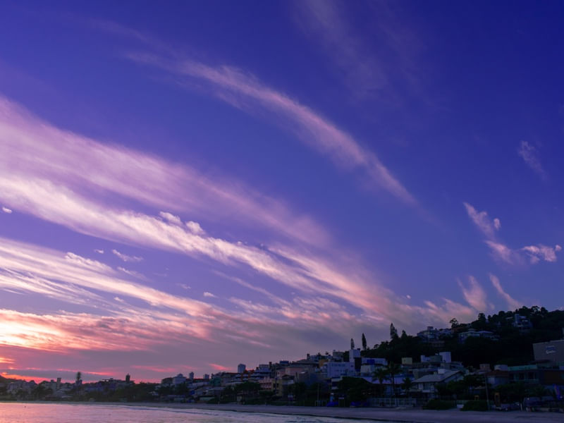 TWILIGHT - PURPLE