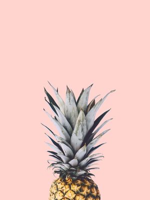 ABACAXI PINEAPPLE 03