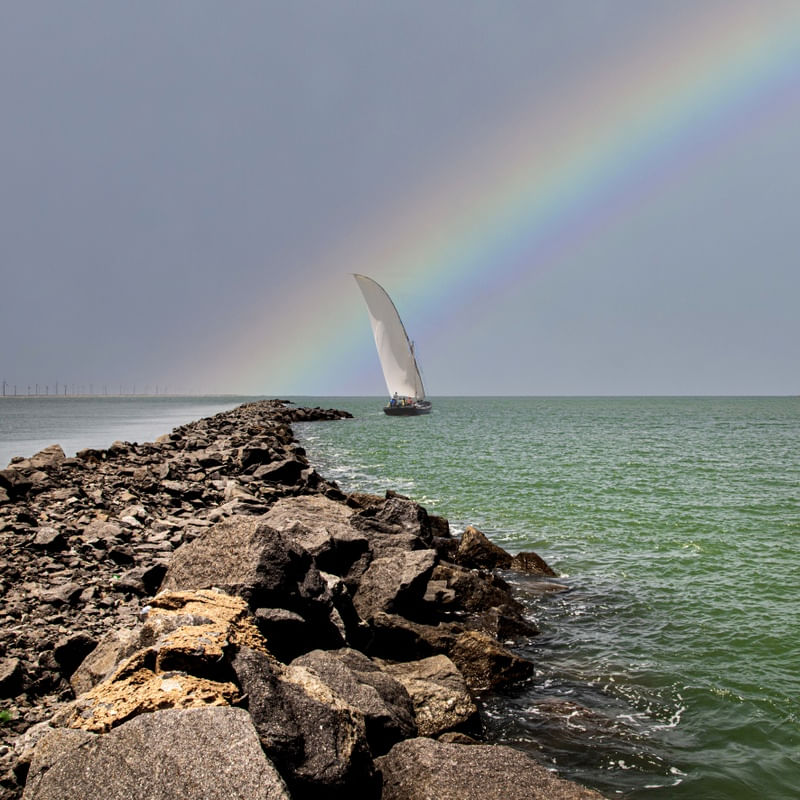 RAINBOW PIER 4