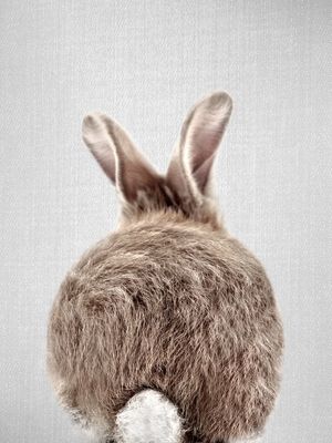 BABY RABBIT TAIL - COLORFUL