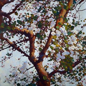 CORES DE OUTONO 07