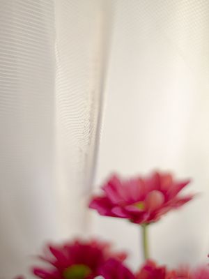 FLOR NA JANELA 3 BY MIRELLA MAGDA